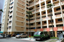 Blk 147 Gangsa Road (Bukit Panjang), HDB Executive #215482